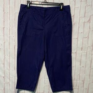 Ann Taylor Loft Navy Blue Cotton Cropped/Capri Pants size 8P
